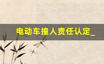 电动车撞人责任认定_轻微擦伤一般赔3000正常吗