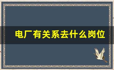 电厂有关系去什么岗位