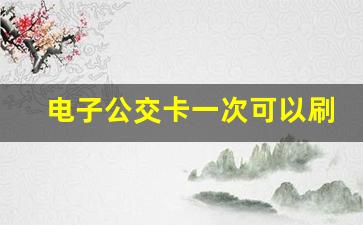 电子公交卡一次可以刷几个人_1张公交卡可以刷2个人吗