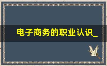 电子商务的职业认识_对电子商务的了解与认识