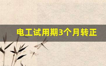 电工试用期3个月转正总结_电工转正申请个人总结怎么写