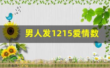 男人发1215爱情数字代表什么意思_男人说10的暗语含义