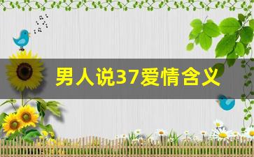 男人说37爱情含义