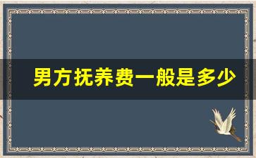 男方抚养费一般是多少_男方给孩子的抚养费最新标准