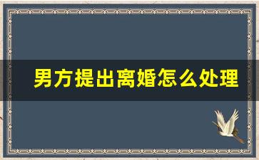 男方提出离婚怎么处理_男方起诉离婚,女方如何应诉