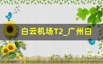 白云机场T2_广州白云机场t1和t2有什么区别