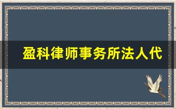 盈科律师事务所法人代表