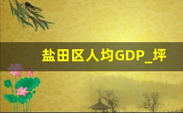 盐田区人均GDP_坪山区GDP