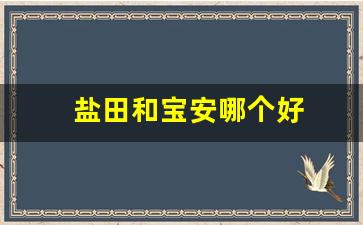 盐田和宝安哪个好