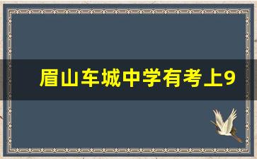 眉山车城中学有考上985的吗_考上985意味着什么