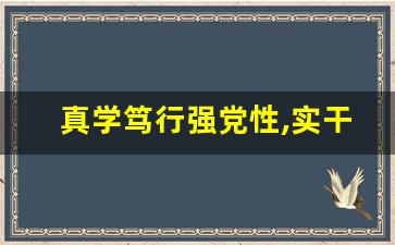 真学笃行强党性,实干担当建新功_学思践悟守初心,砥砺奋进新征程