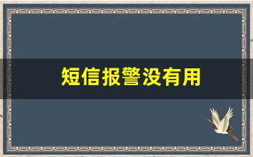 短信报警没有用