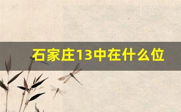 石家庄13中在什么位置_石家庄十三中学校简介