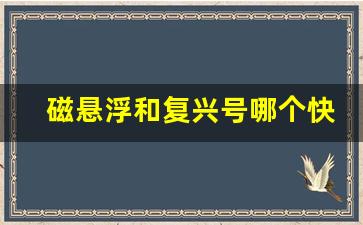 磁悬浮和复兴号哪个快