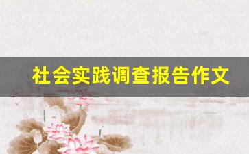 社会实践调查报告作文400字_社会调查报告500字作文