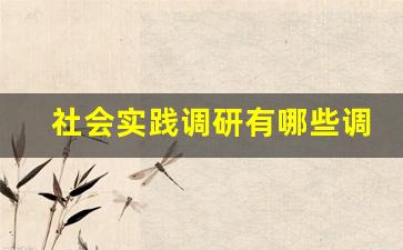 社会实践调研有哪些调研内容_社会实践调查什么