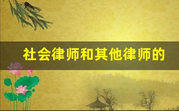 社会律师和其他律师的区别_律师分几类接案律师