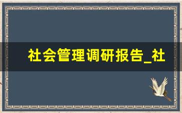 社会管理调研报告_社会人才流动管理的调研报告