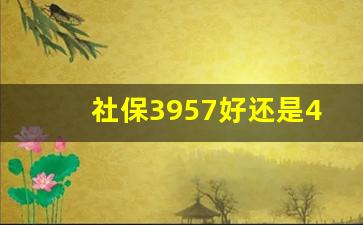 社保3957好还是4353好_4353基数一览表