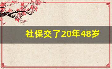 社保交了20年48岁离职怎么办_如果辞职不干了社保怎么办