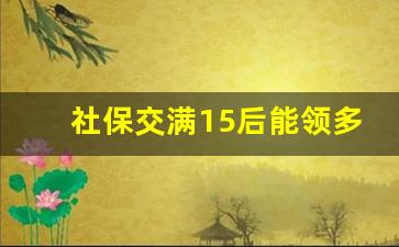 社保交满15后能领多少钱_个人社保交够15不想再交了