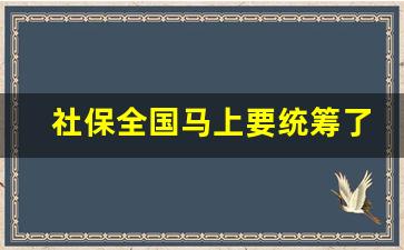 社保全国马上要统筹了_农村一次性补缴9万政策