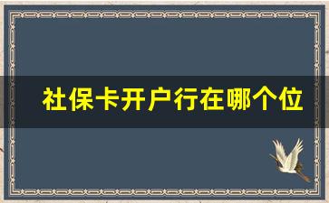 社保卡开户行在哪个位置_社保卡在哪个银行怎么查询