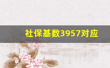 社保基数3957对应多少工资_45岁辞职了社保已交21年