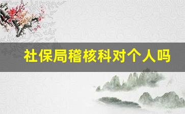 社保局稽核科对个人吗_社保局稽核科是干什么的