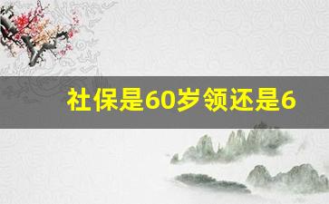 社保是60岁领还是65岁