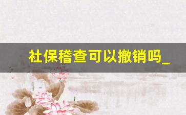 社保稽查可以撤销吗_社保稽查通知了单位怎么处理