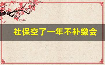 社保空了一年不补缴会怎样_社保一年没有交可以补交吗