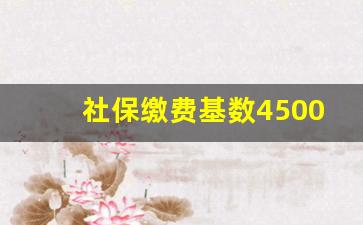 社保缴费基数4500高吗_社保每月交4500属于什么档次