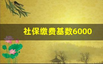 社保缴费基数6000低吗_缴费基数6000是几档