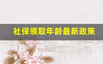 社保领取年龄最新政策2023_个人怎么补缴社保