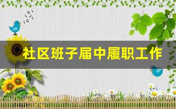 社区班子届中履职工作总结_社区履职尽责方面个人总结