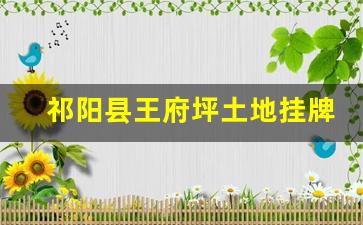 祁阳县王府坪土地挂牌公告_2019祁阳王府坪棚户区改造