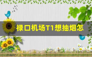 禄口机场T1想抽烟怎么办_武汉机场吸烟室在哪