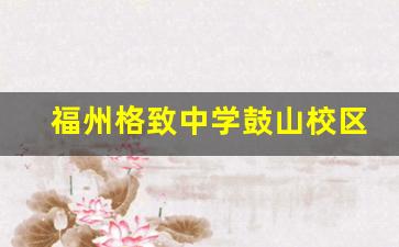 福州格致中学鼓山校区高中部教学情况