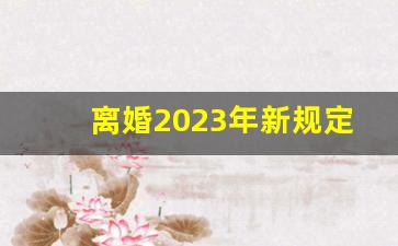 离婚2023年新规定_离婚协议书2023电子版