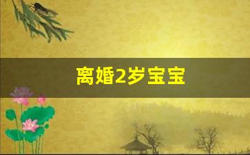 离婚2岁宝宝