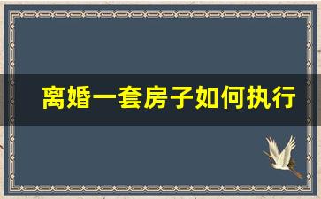 离婚一套房子如何执行_离婚就财产分割不同意怎么判