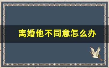 离婚他不同意怎么办