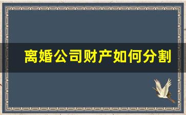 离婚公司财产如何分割_离婚公司财产也要分吗