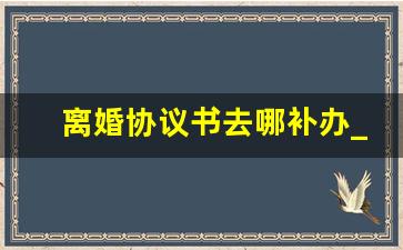 离婚协议书去哪补办_离婚协议书丢了