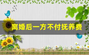 离婚后一方不付抚养费可以起诉_离婚后男方不付抚养费成年后起诉