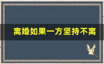 离婚如果一方坚持不离怎么办_离婚有一方不离婚怎么办