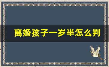 离婚孩子一岁半怎么判_孩子归谁抚养权