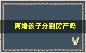 离婚孩子分割房产吗