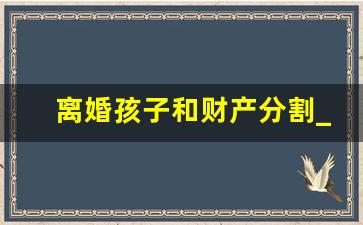 离婚孩子和财产分割_离婚后孩子抚养权问题